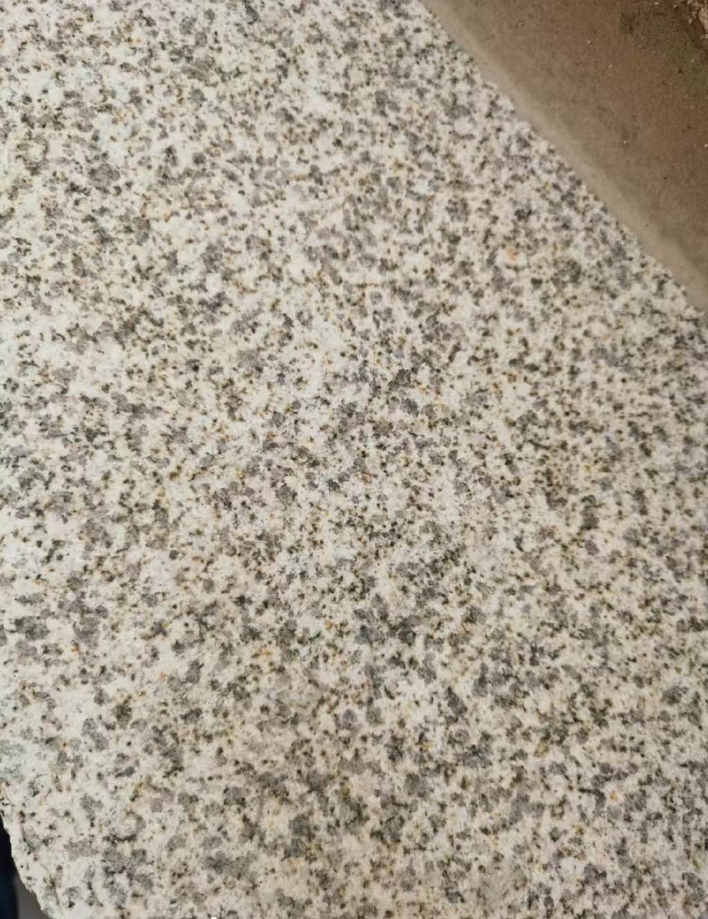 襄阳 黄金麻中黄光面