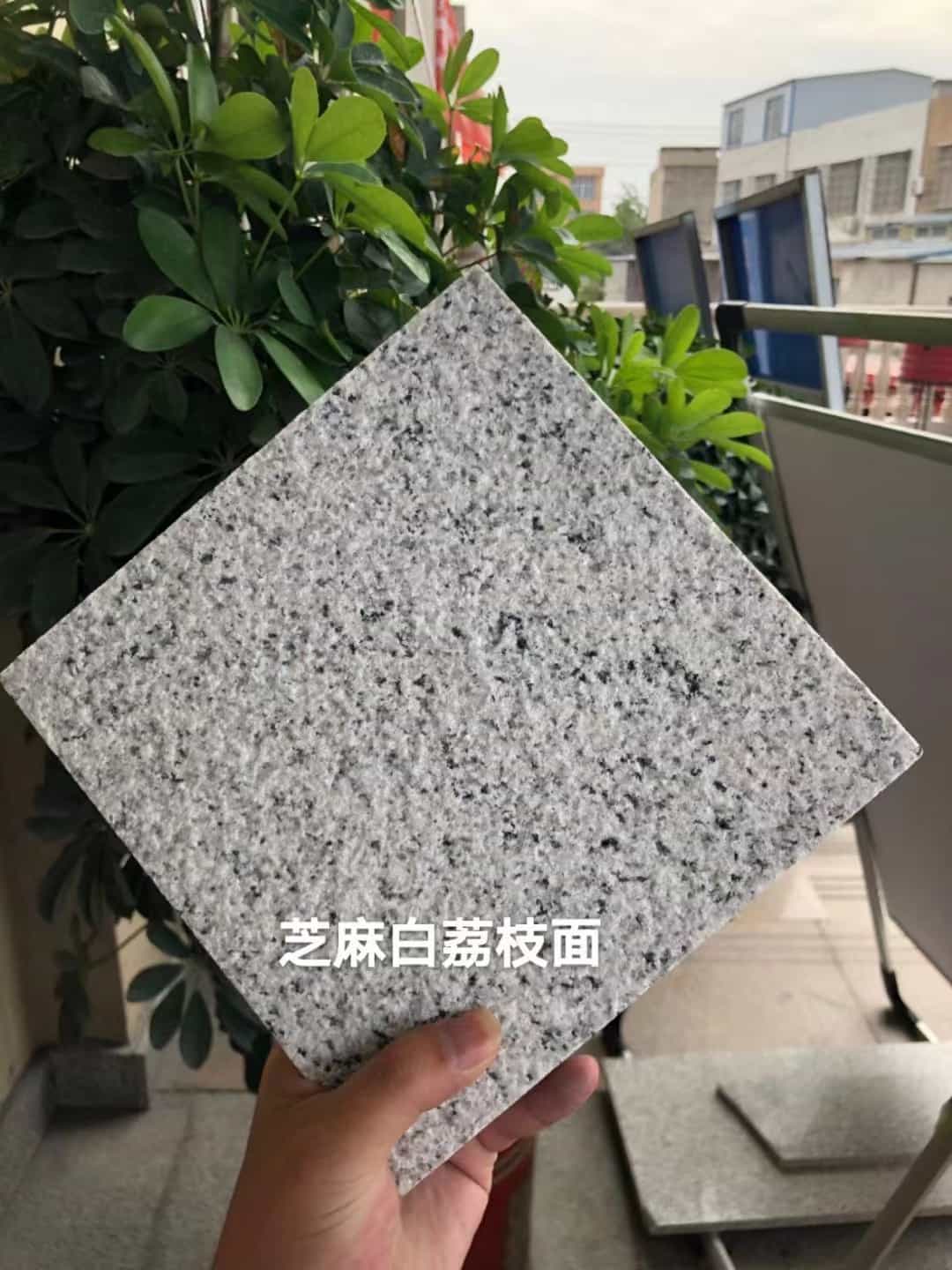 襄阳 芝麻白荔枝面干挂
